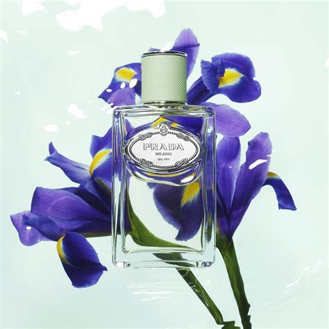 prada iris perfume debenhams|prada iris perfume sephora.